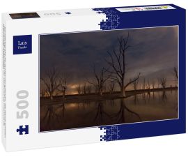 Lais Puzzle - Nachtfotografie der Ruinen von Epecuen, die Sterne erhellen den Himmel in der Nähe der Stadt Carhue, Provincia de Buenos Aire, Argentinien - 500 Teile