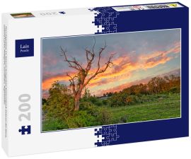 Lais Puzzle - Feuchtgebiete im Naturschutzgebiet Nationalpark Esteros del Ibera, Colonia Carlos Pellegrini, Corrientes, Argentinien - 200 Teile