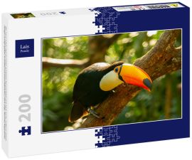 Lais Puzzle - Der Toco-Tukan sitzt im Freien auf einem Ast und lehnt sich nach vorne, wobei er seinen riesigen orange-gelben Schnabel mit einem bläulichen Fleck zeigt. Misiones Argentinien - 200 Teile