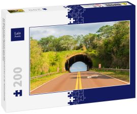 Lais Puzzle - Ein Blick auf den Ökodukt (eine Wildtierbrücke) an der Nationalstraße 101 in Argentinien (Provinz Misiones) - 200 Teile