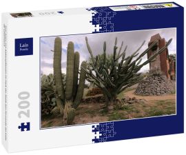 Lais Puzzle - Drei Arten von Kaktuspflanzen im Park der Stadt San Fernando del Valle de Catamarca - 200 Teile