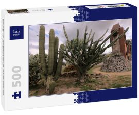 Lais Puzzle - Drei Arten von Kaktuspflanzen im Park der Stadt San Fernando del Valle de Catamarca - 500 Teile