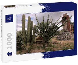 Lais Puzzle - Drei Arten von Kaktuspflanzen im Park der Stadt San Fernando del Valle de Catamarca - 1.000 Teile