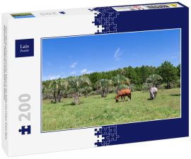 Lais Puzzle - Zwei Pferde grasen auf einer Wiese in der Nähe von Colon, Entre Rios, Argentinien. Ländliche Landschaft mit Palmen - 200 Teile