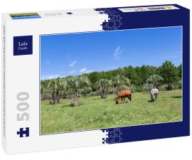 Lais Puzzle - Zwei Pferde grasen auf einer Wiese in der Nähe von Colon, Entre Rios, Argentinien. Ländliche Landschaft mit Palmen - 500 Teile