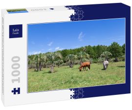 Lais Puzzle - Zwei Pferde grasen auf einer Wiese in der Nähe von Colon, Entre Rios, Argentinien. Ländliche Landschaft mit Palmen - 1.000 Teile