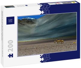 Lais Puzzle - Vicuñas in der Nähe des Paso de San Francisco und der Gipfel des Vulkans Incahuasi, Catamarca, Argentinien - 200 Teile