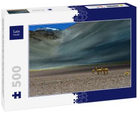 Lais Puzzle - Vicuñas in der Nähe des Paso de San Francisco und der Gipfel des Vulkans Incahuasi, Catamarca, Argentinien - 500 Teile