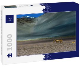 Lais Puzzle - Vicuñas in der Nähe des Paso de San Francisco und der Gipfel des Vulkans Incahuasi, Catamarca, Argentinien - 1.000 Teile