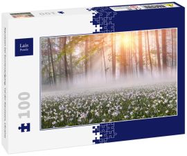 Lais Puzzle - Narzissen bei Sonnenaufgang. Tal der Narzissen, Ukraine - 100 Teile