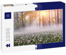 Lais Puzzle - Narzissen bei Sonnenaufgang. Tal der Narzissen, Ukraine - 1.000 Teile