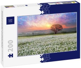 Lais Puzzle - Narzissen bei Sonnenaufgang. Eine lebende Legende der Unterkarpaten ist ein erstaunliches Phänomen - Narzissenblüten, Ukraine - 200 Teile