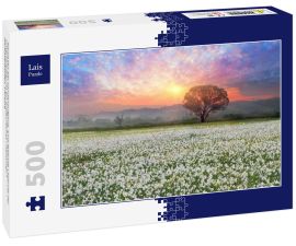 Lais Puzzle - Narzissen bei Sonnenaufgang. Eine lebende Legende der Unterkarpaten ist ein erstaunliches Phänomen - Narzissenblüten, Ukraine - 500 Teile