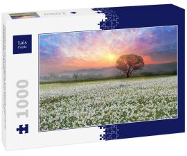 Lais Puzzle - Narzissen bei Sonnenaufgang. Eine lebende Legende der Unterkarpaten ist ein erstaunliches Phänomen - Narzissenblüten, Ukraine - 1.000 Teile