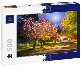 Lais Puzzle - Ukrainische Sakura in den Karpaten - 500 Teile