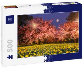 Lais Puzzle - Ukrainische Sakura in den Karpaten - 500 Teile