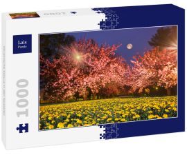 Lais Puzzle - Ukrainische Sakura in den Karpaten - 1.000 Teile