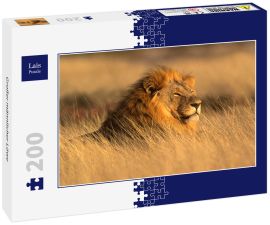 Lais Puzzle - Großer männlicher Löwe - 200 Teile
