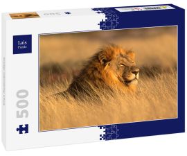 Lais Puzzle - Großer männlicher Löwe - 500 Teile