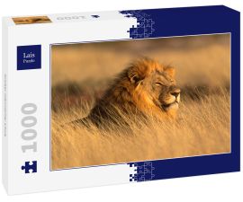 Lais Puzzle - Großer männlicher Löwe - 1.000 Teile