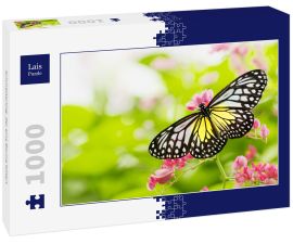 Lais Puzzle - Schmetterling, der eine Blume füttert - 1.000 Teile