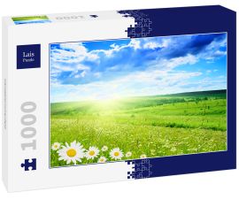 Lais Puzzle - Gänseblümchenfeld - 1.000 Teile