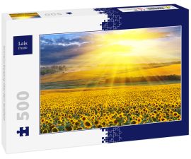 Lais Puzzle - Sonnenuntergang über dem Spielfeld - 500 Teile