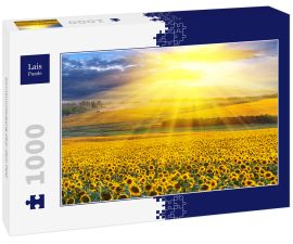 Lais Puzzle - Sonnenuntergang über dem Feld - 1.000 Teile