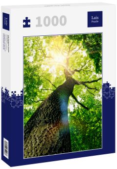Lais Puzzle - Baum von unten - 1.000 Teile