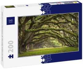 Lais Puzzle - Oaks Avenue Charleston SC Plantage Wildeiche Wald - 200 Teile