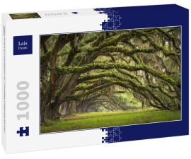 Lais Puzzle - Oaks Avenue Charleston SC Plantage Lebende Eichen Wald - 1.000 Teile