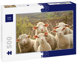 Lais Puzzle - Schafe auf der Weide - 500 Teile