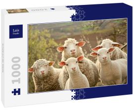 Lais Puzzle - Schafe auf der Weide - 1.000 Teile