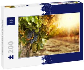 Lais Puzzle - Weinberge bei Sonnenuntergang - 200 Teile