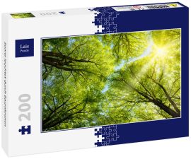 Lais Puzzle - Sonne leuchtet durch Baumkronen - 200 Teile