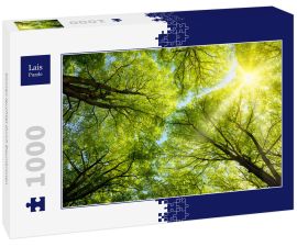Lais Puzzle - Sonnen leuchtet durch Baumkronen - 1.000 Teile