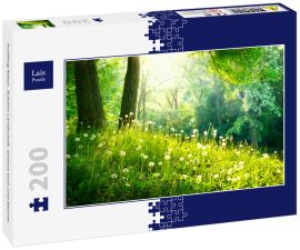 Lais Puzzle - Frühling Natur. Schöne Landschaft. Grünes Gras und Bäume - 200 Teile