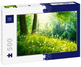 Lais Puzzle - Frühling Natur. Schöne Landschaft. Grünes Gras und Bäume - 500 Teile