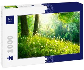 Lais Puzzle - Frühling Natur. Schöne Landschaft. Grünes Gras und Bäume - 1.000 Teile