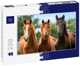 Lais Puzzle - Gruppe von drei jungen Pferden auf der Weide - 200 Teile