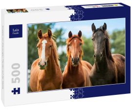 Lais Puzzle - Gruppe von drei jungen Pferden auf der Weide - 500 Teile