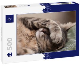 Lais Puzzle - schlafende Katze - 500 Teile