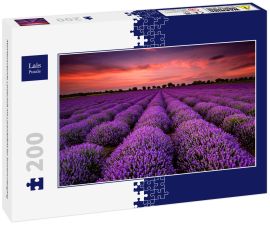 Lais Puzzle - Atemberaubende Landschaft mit Lavendelfeld bei Sonnenuntergang - 200 Teile