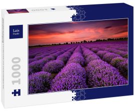 Lais Puzzle - Atemberaubende Landschaft mit Lavendelfeld bei Sonnenuntergang - 1.000 Teile