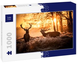 Lais Puzzle - Rothirsch in der Morgensonne - 1.000 Teile