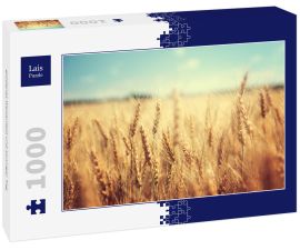Lais Puzzle - goldenes Weizenfeld und sonniger Tag - 1.000 Teile