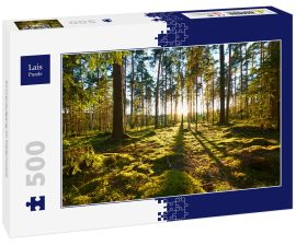 Lais Puzzle - Sonnenaufgang im Kiefernwald - 500 Teile