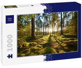 Lais Puzzle - Sonnenaufgang im Kiefernwald - 1.000 Teile