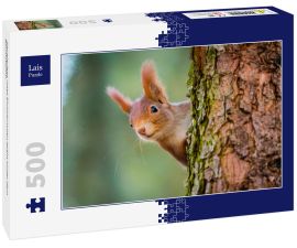 Lais Puzzle - Neugieriges rotes Eichhörnchen späht hinter dem Baumstamm - 500 Teile