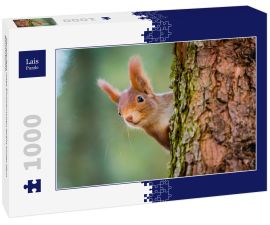 Lais Puzzle - Neugieriges rotes Eichhörnchen späht hinter dem Baumstamm - 1.000 Teile